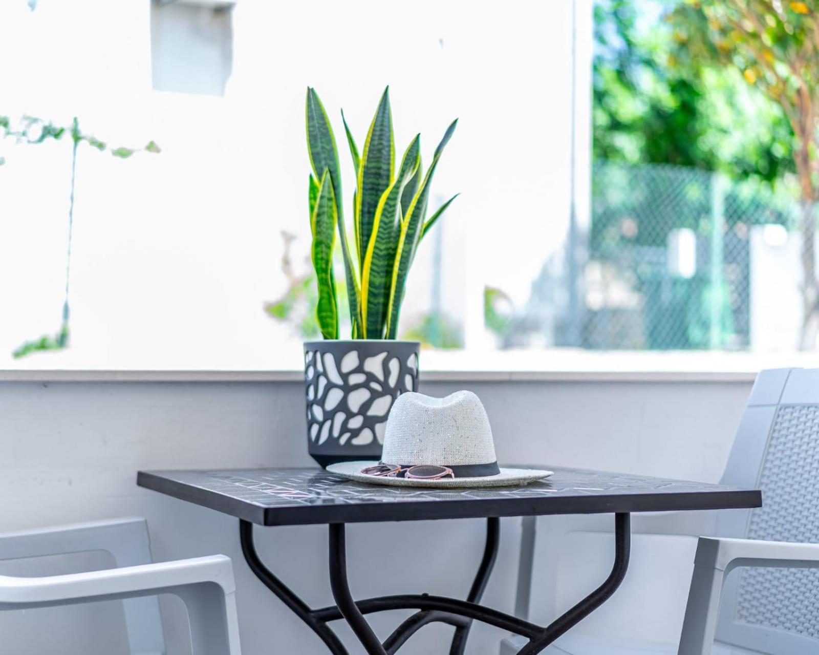 Apartmani Vinko 比比涅 外观 照片